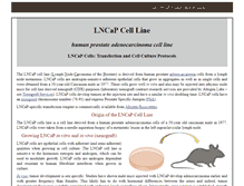 Tablet Screenshot of lncap.com